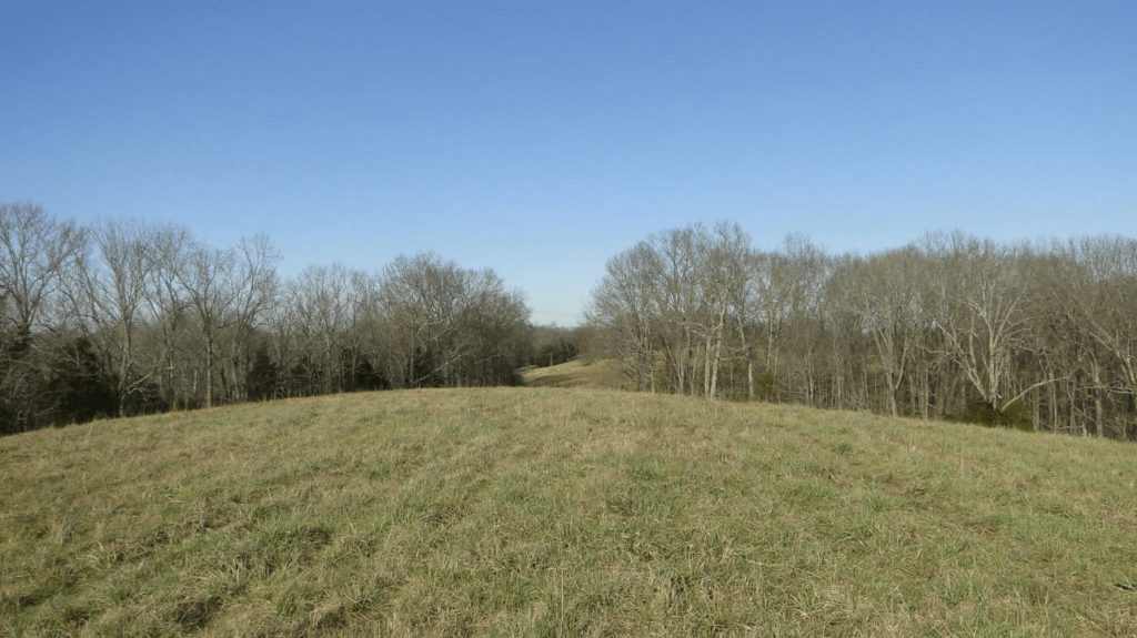 Grassy hill on a nice spring day.