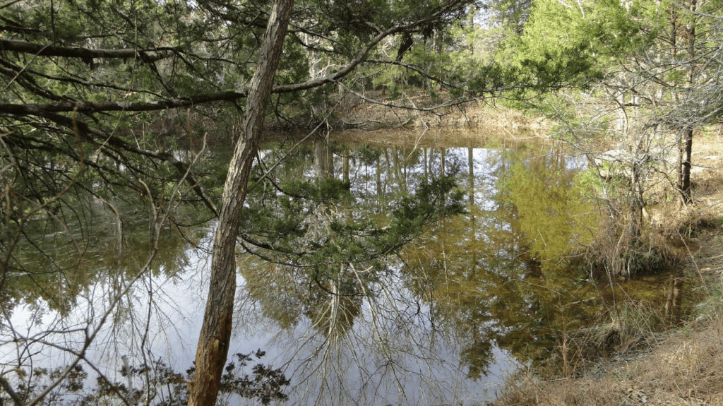 Pond in the middle of the country.