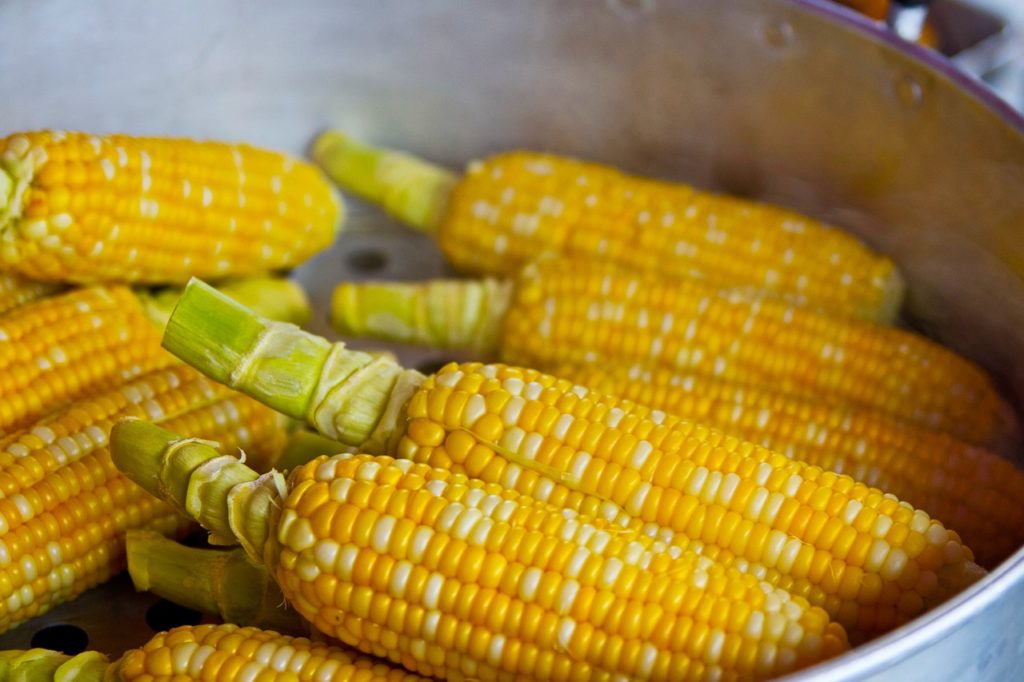 events in franklin tn: sweet corn festival