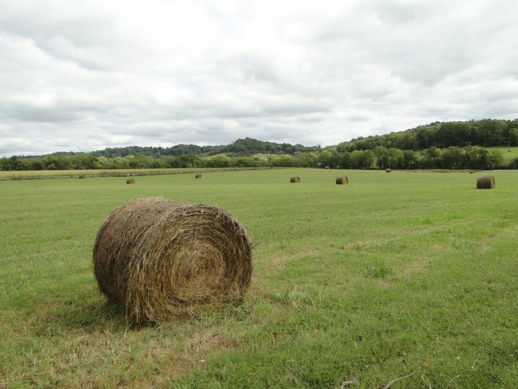 Shot of a hay bale sitting on acres and acres of green pasture.