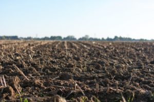 a picture of soil ready to for farming