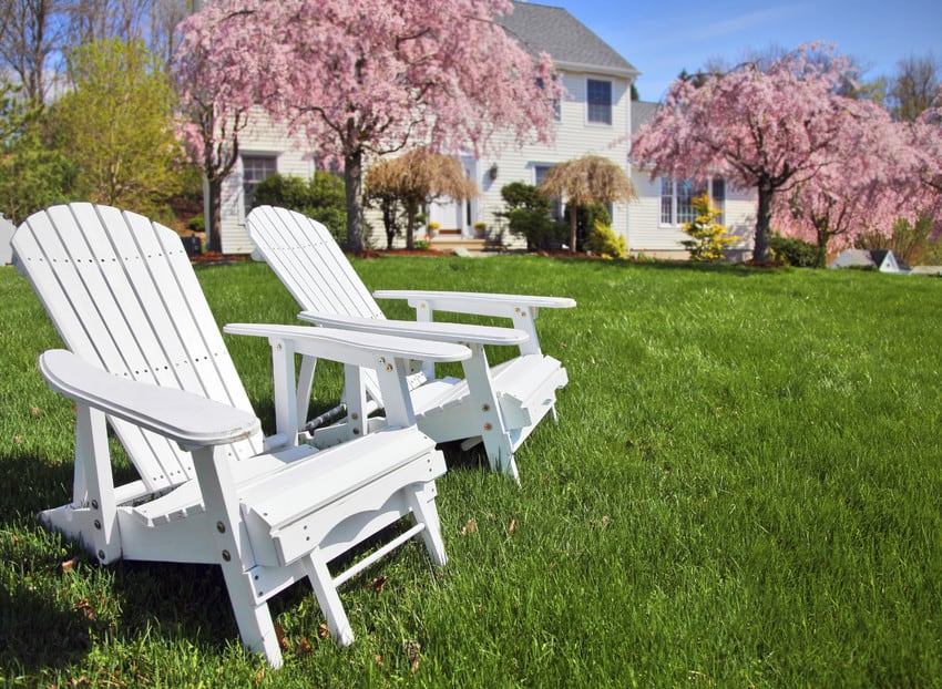 A couple of blooming cherry blossom trees in a front yard.
