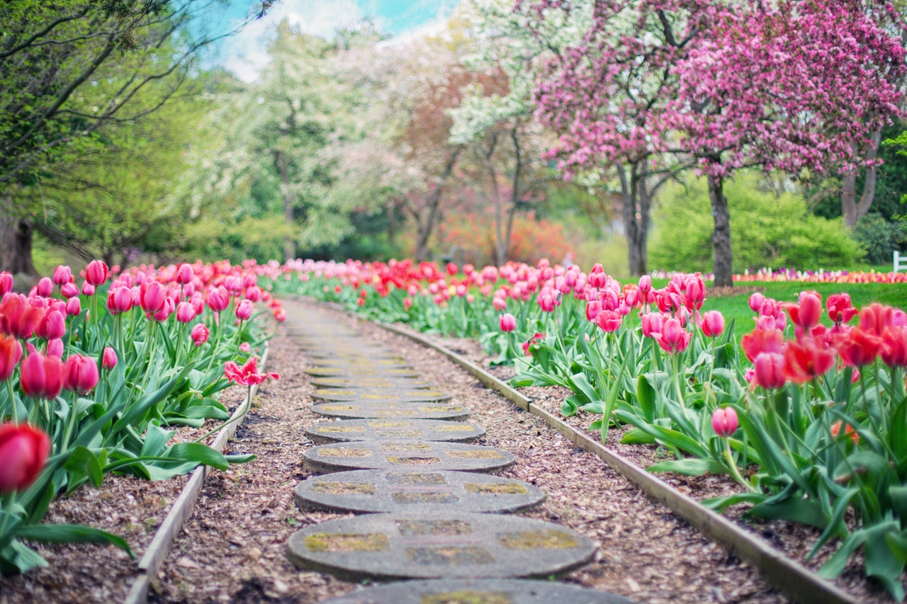 a garden paradise on a large acreage property