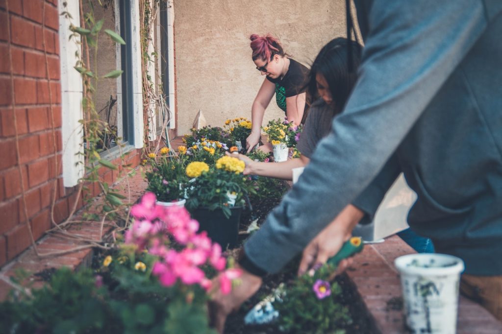 planting flowers for nashville earth day